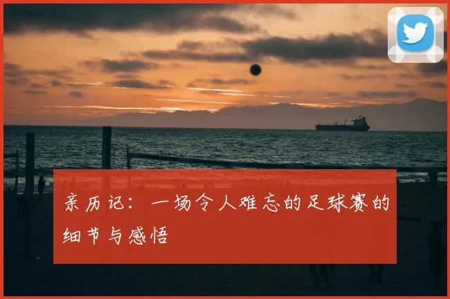 亲历记：一场令人难忘的足球赛的细节与感悟