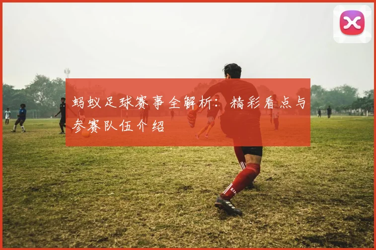 蚂蚁足球赛事全解析：精彩看点与参赛队伍介绍