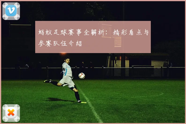 蚂蚁足球赛事全解析：精彩看点与参赛队伍介绍